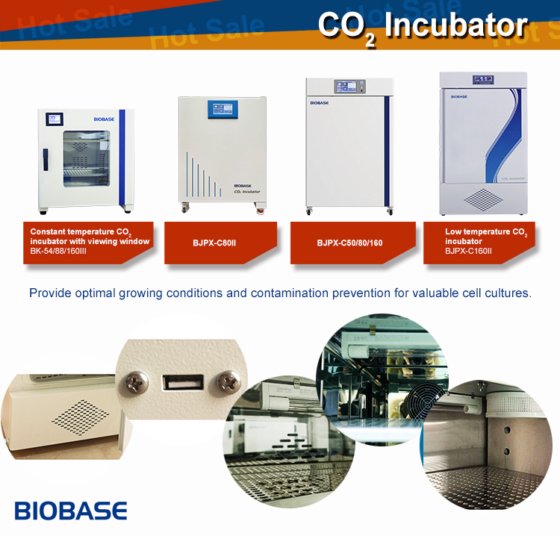 Biobase Incubator CO2 dry bath temperature and humidity controller