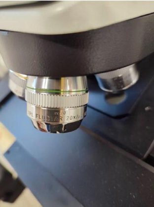 Leitz ERGOLUX AMC -LIS