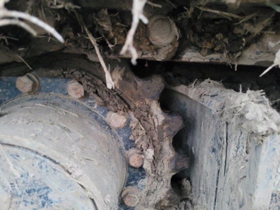 2019 CATERPILLAR 305.5E2