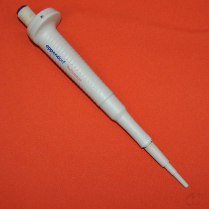Kolbenhubpipette Eppendorf Reference 250 µL