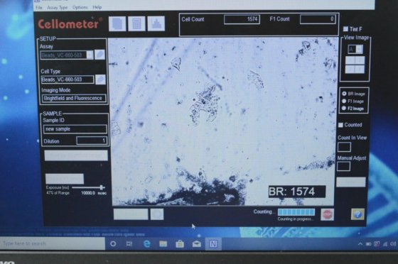 Nexcelom Cellometer K2 Image Cytometer Viability Cell Counter w/pc ...
