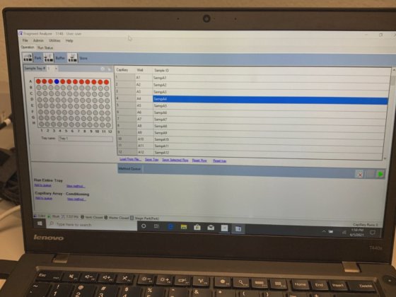AATI Advanced Analytical Agilent Fragment