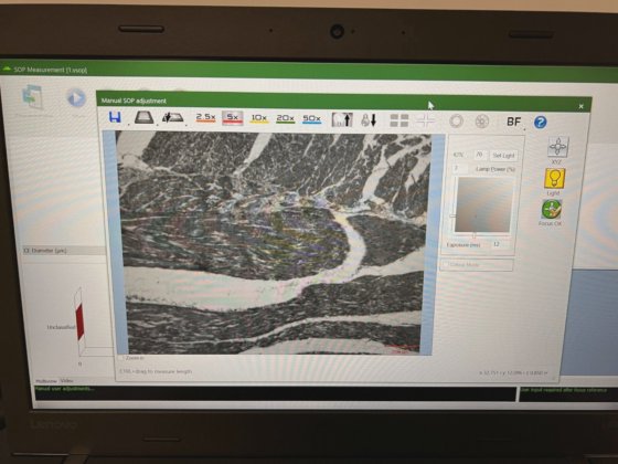 Malvern Morphologi 4 Particle Size