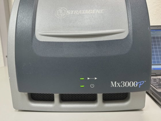 Agilent Stratagene Mx3000p multiplex quantitative
