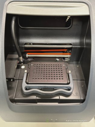 Agilent Stratagene Mx3000p multiplex quantitative