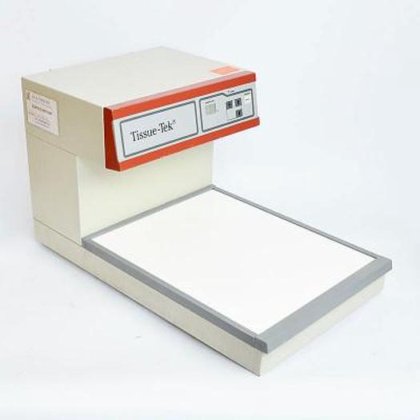 樱花解剖学套装