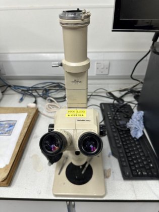 2010 COMPLETE LABORATORY