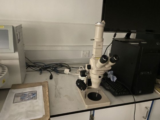 2010 COMPLETE LABORATORY