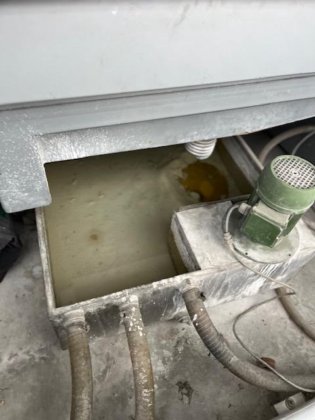 Bottero_Practica (3)