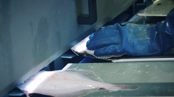 FFG Scholstripmachine