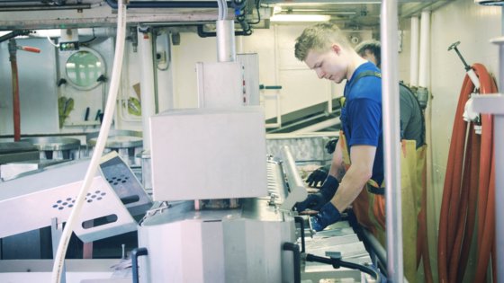 FFG Scholstripmachine