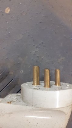 硅模板 - 1 盘。