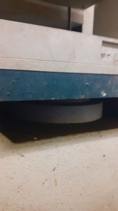 硅模板 - 1 盘。