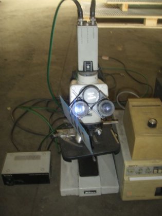 Microscope NIKON, magnifying max. 400