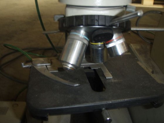 尼康显微镜，最大放大倍数400