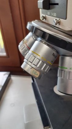 OLYMPUS 显微镜，物镜 x 20 至