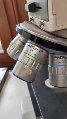 OLYMPUS 显微镜，物镜 x 20 至