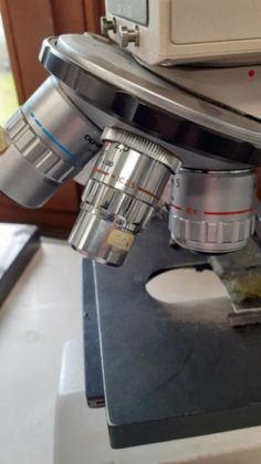 OLYMPUS 显微镜，物镜 x 20 至