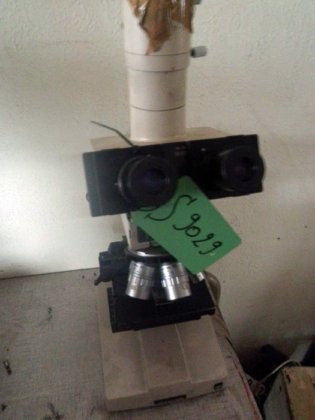 OLYMPUS 显微镜，物镜 x 20 至