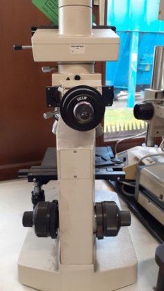 OLYMPUS 显微镜，物镜 x 20 至