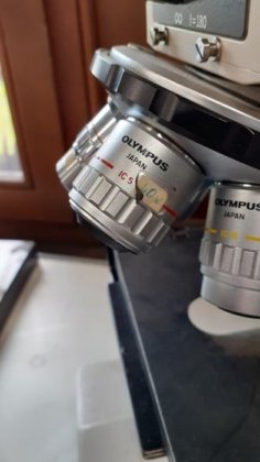OLYMPUS 显微镜，物镜 x 20 至