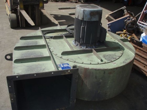 Sil poultr LÜHR, ± 15000