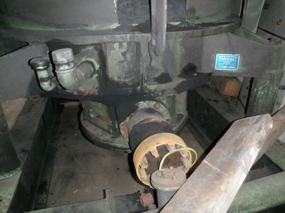 绿色混砂机 SPEEDMULLOR 80 A, 45