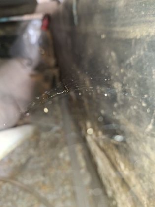 振動研磨機、ブランドRÖSSLER 2.2x0.6 m。