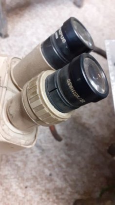 Microscopio binocular OLYMPUS