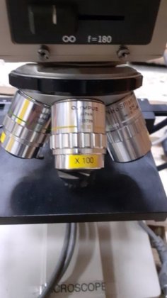 Microscope OLYMPUS