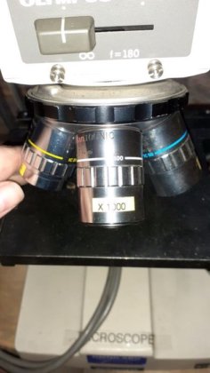 Microscope OLYMPUS