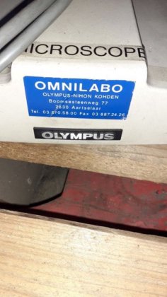 Microscope OLYMPUS