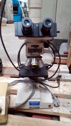 Microscope OLYMPUS