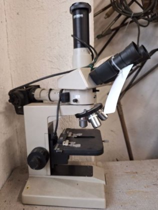 尼康显微镜（Optihot）×400