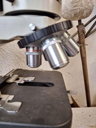 尼康显微镜（Optihot）×400