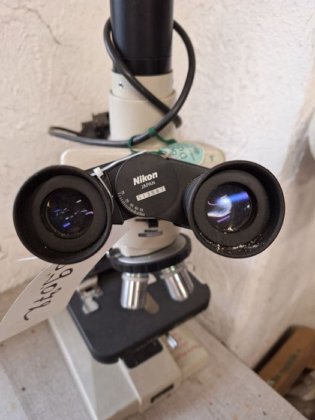 尼康显微镜（Optihot）×400