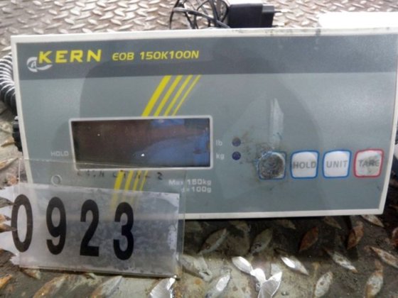 プラトーバランス、電子式、150 kg