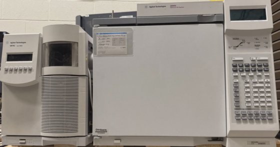 GCMS Agilent 6890N FID 5975C