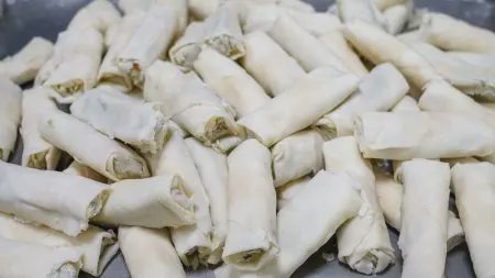 小型連續式輸送帶油炸機(FRYIN-201)