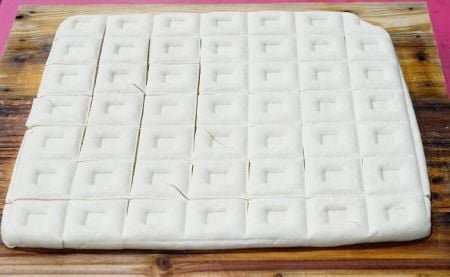 小型連續式輸送帶油炸機(FRYIN-201)