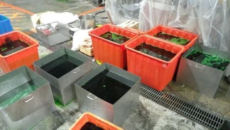 油炸青豆生產線設備