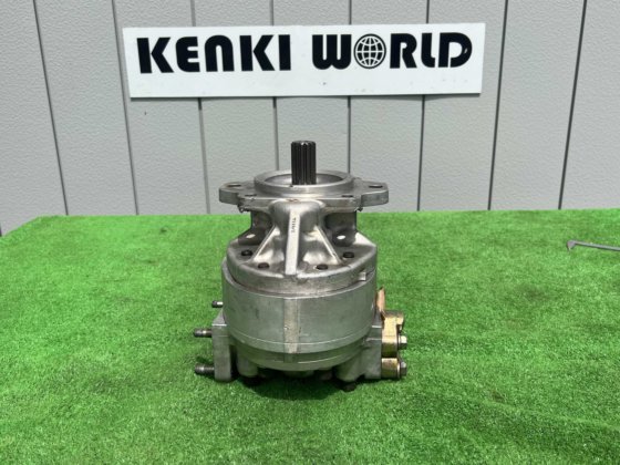 Gear pump; ギヤポンプ