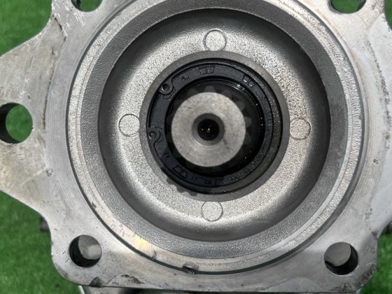 Gear pump; ギヤポンプ