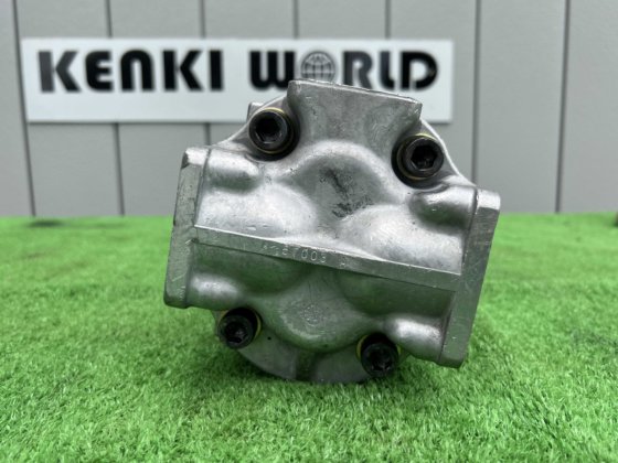 Gear pump; ギヤポンプ