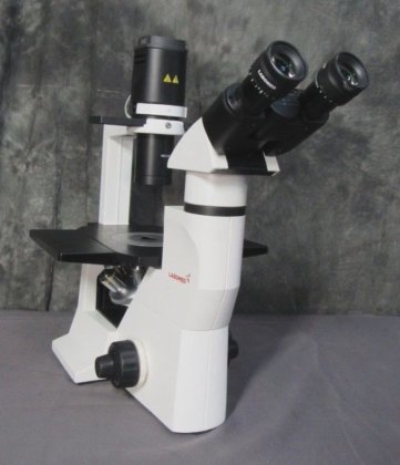 Labomed TCM 400 Inverted Phase Contrast Microscope with 3 Objectives in ...