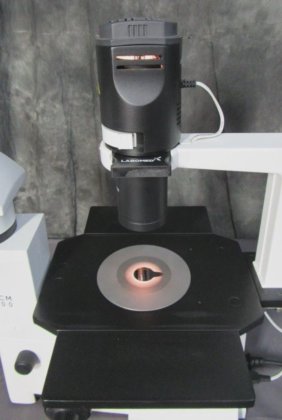 Labomed TCM 400 Inverted Phase Contrast Microscope with 3 Objectives in ...