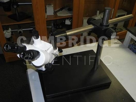 Leica Wild M10 Stereo/Dissecting Microscope in Watertown, MA, USA