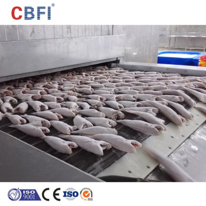 CBFI 商用蔬菜 IQF 隧道式冷冻机