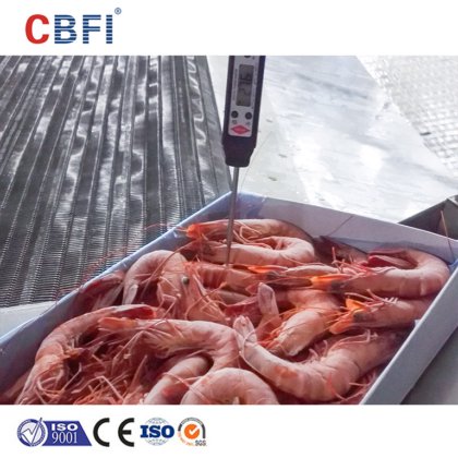 CBFI 商用蔬菜 IQF 隧道式冷冻机