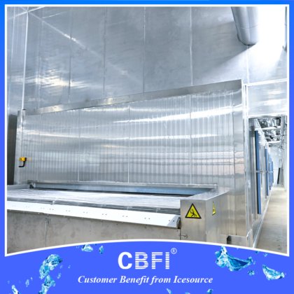 CBFI® IQF 隧道式冷冻机